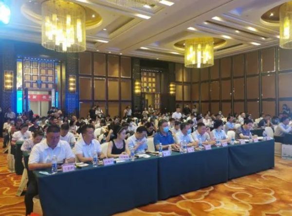 南阳市组团赴重庆推介文旅：南阳 一个值得三顾的地方