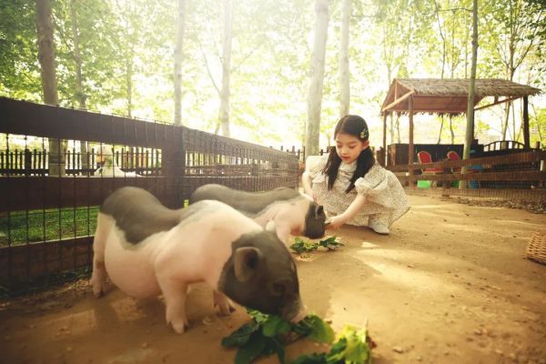 教师节&中秋 | 感念师恩，寄情中秋