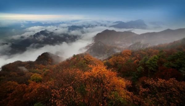 中国农民丰收节，老君山景区对农民伯伯免门票啦！