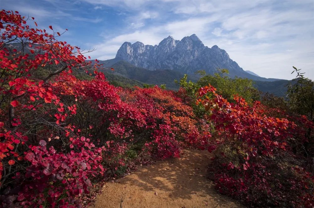 盛世中华，国风嵩山—潮玩国庆就在嵩山景区