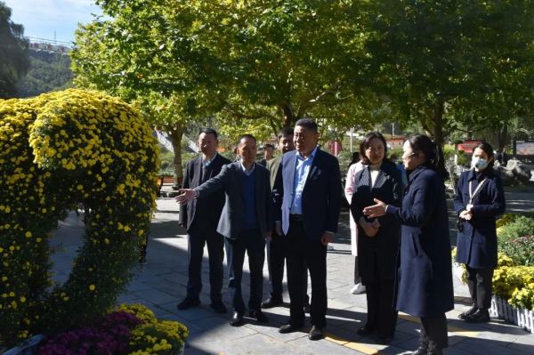 花海有约!2022鸡冠洞金秋菊展隆重开幕! 花海有约!2022鸡冠洞金秋菊展隆重开幕!