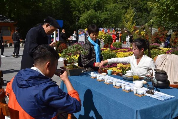 花海有约!2022鸡冠洞金秋菊展隆重开幕! 花海有约!2022鸡冠洞金秋菊展隆重开幕!