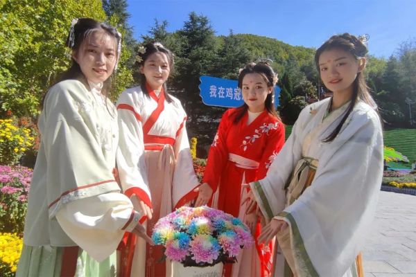 花海有约!2022鸡冠洞金秋菊展隆重开幕! 花海有约!2022鸡冠洞金秋菊展隆重开幕!