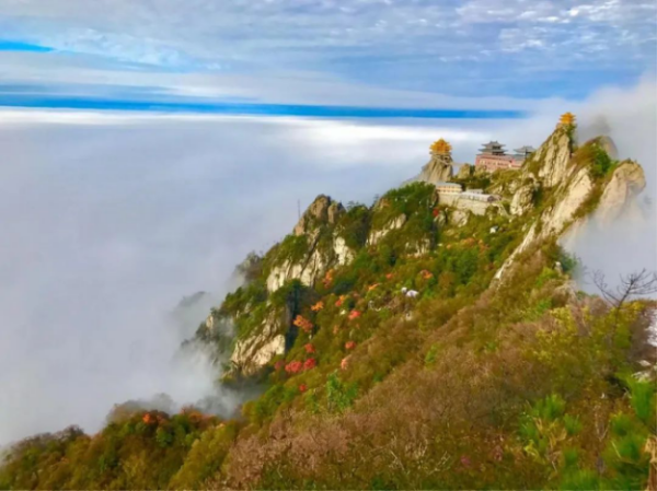 老君山的秋天，景色到了极致，美醉了双眼