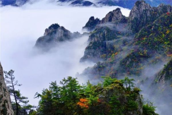 心动预警！洛阳老君山秋日仙境云海已上线！