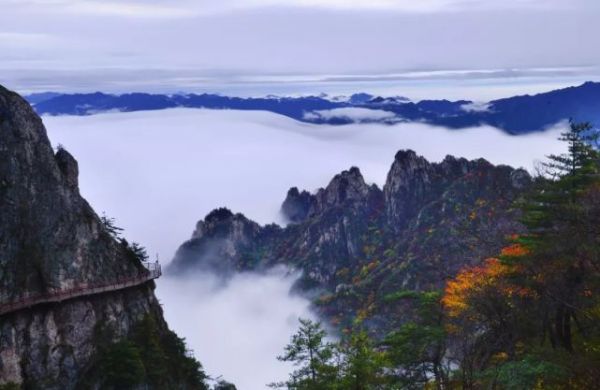 心动预警！洛阳老君山秋日仙境云海已上线！