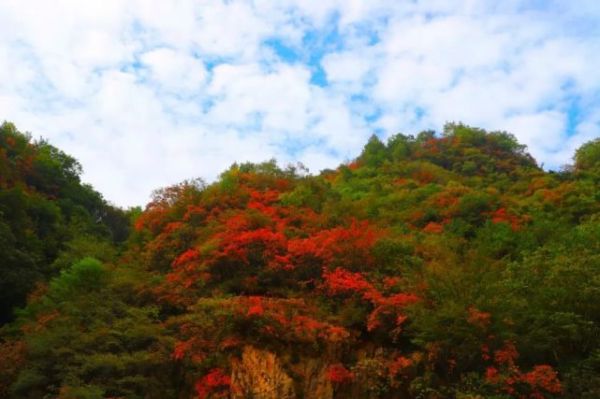 致十一月：愿你心有归途，安暖幸福！