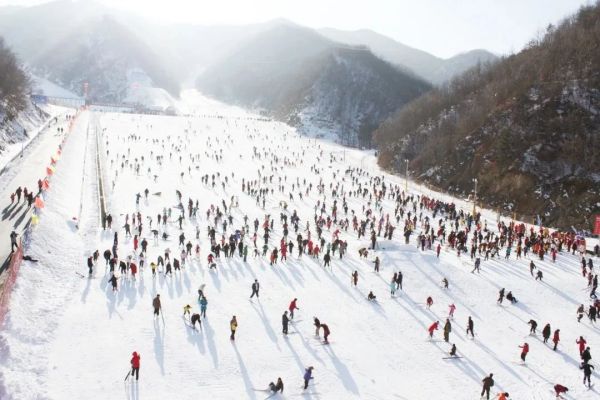 “你旅游 我送油”栾川六大景区为全国游客送豪礼！