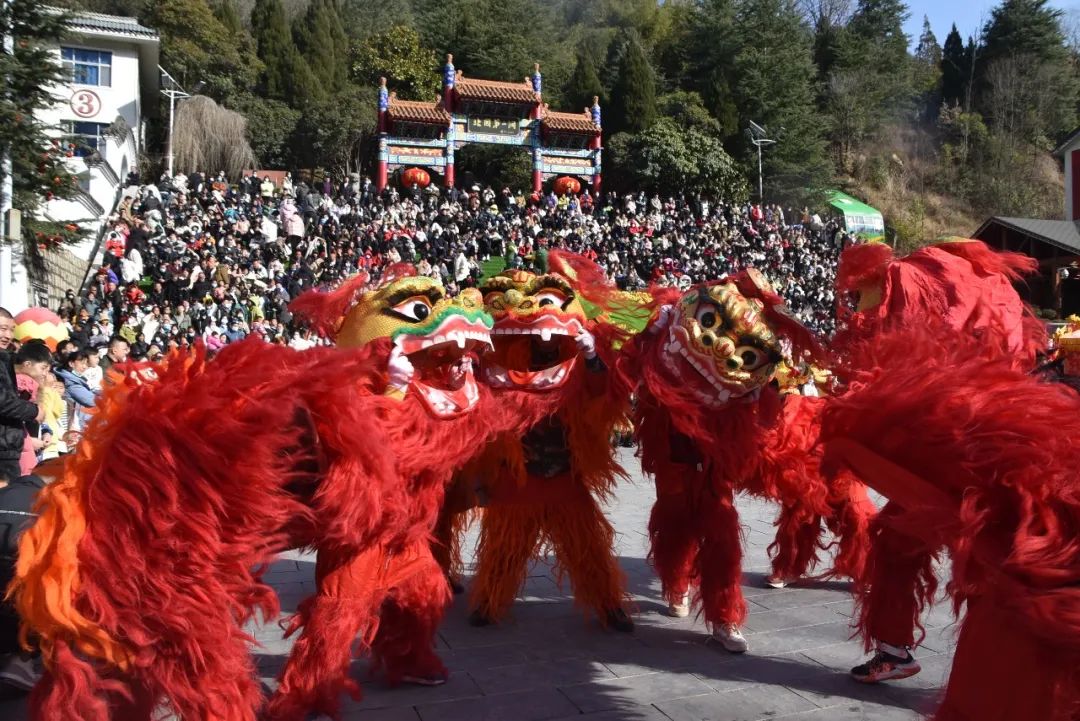 春满中原 老家过年 | 大年初一，栾川鸡冠洞迎来开门红