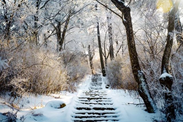 雪景正盛！情人节，带爱人来一场浪漫旅行！