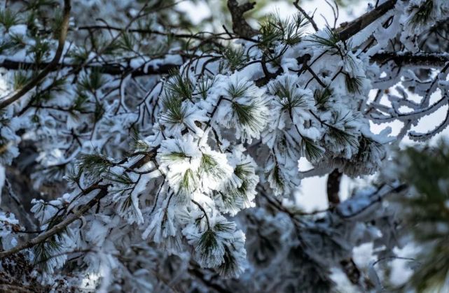 雪景正盛！情人节，带爱人来一场浪漫旅行！