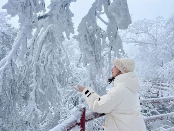 央視再次關(guān)注老君山:雪后盛宴美不勝收 央視再次關(guān)注老君山:雪后盛宴美不勝收