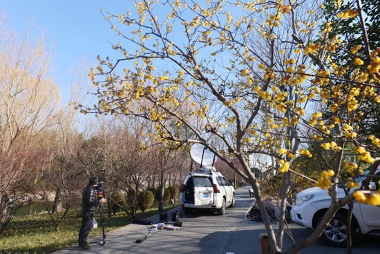 央视《花开中国》走进郑州绿博园