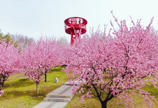 央视《花开中国》走进郑州绿博园