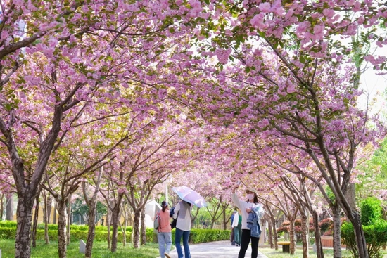 央视《花开中国》走进郑州绿博园