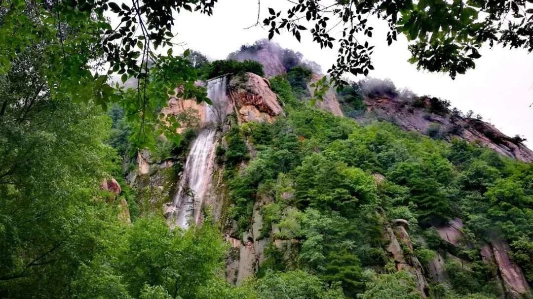 天河大峡谷第二届“茱萸花节”开幕式圆满结束