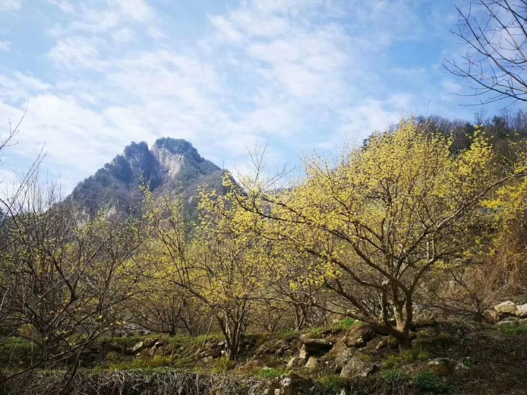 天河大峡谷第二届“茱萸花节”开幕式圆满结束