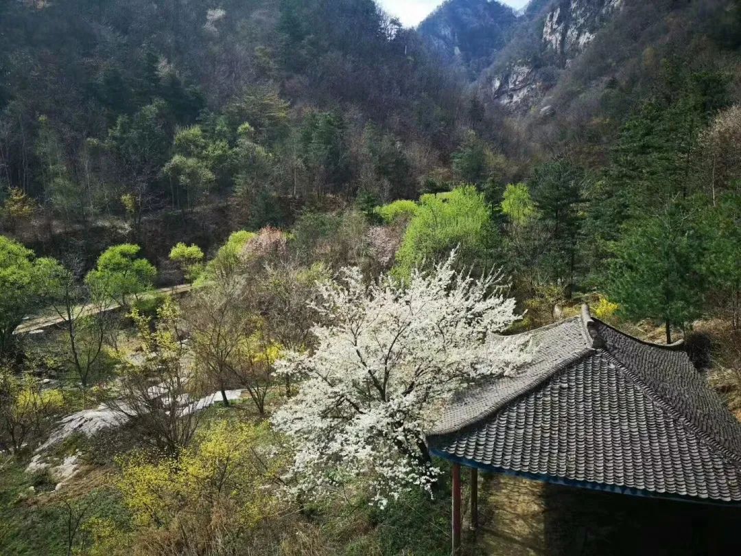 天河大峡谷第二届“茱萸花节”开幕式圆满结束