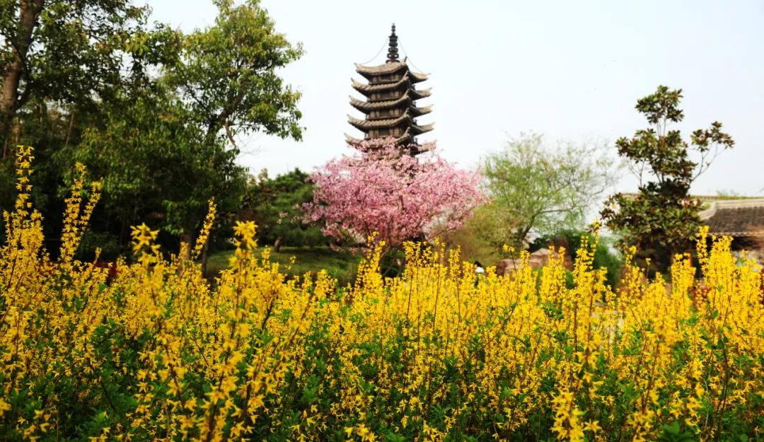 郑州绿博园成功入围第二批国家级文明旅游示范单位！
