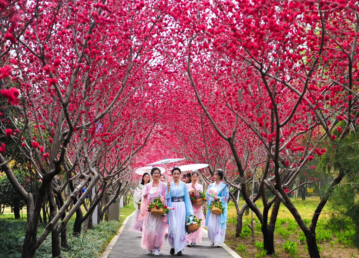郑州绿博园喜获 国家级文明旅游示范单位荣誉称号
