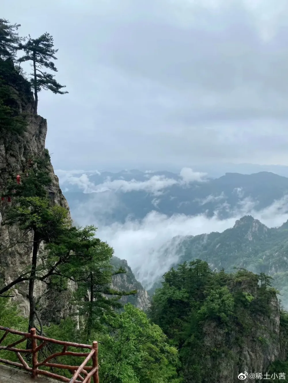 游客照系列｜仙境，大概就是这个样子～