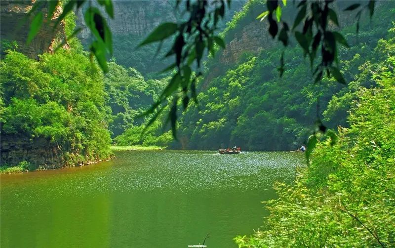 行走河南·读懂中国 | 洛阳多景区发布暑期优惠政策