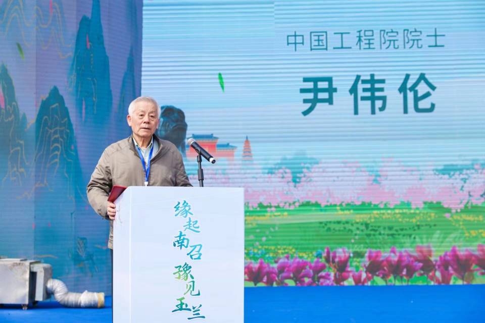 2024“春季赏花·畅游南阳”系列活动暨南召县第三届玉兰花会正式启动