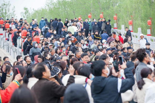 第八届封丘陈桥湿地油菜花生态旅游季 盛大开幕